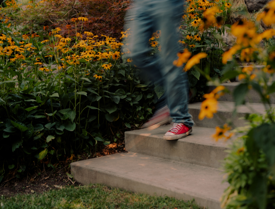 Pathway and landscaped yard outside a Mira-protected home
